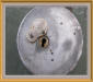 Time recorder for watchman's BENZING ancien