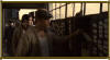 Irish Gangster de Jonathan Hensleigh avec Ray Stevenson